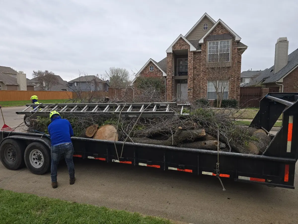 Expert Tree Fertilization with proper safety equipment in Saint George Island